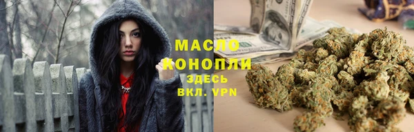 mdpv Инсар