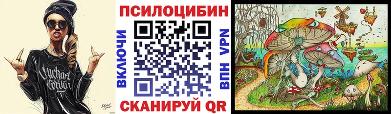 Купить закладки  Орлов  Галлюциногенные грибы Psilocybine cubensis 